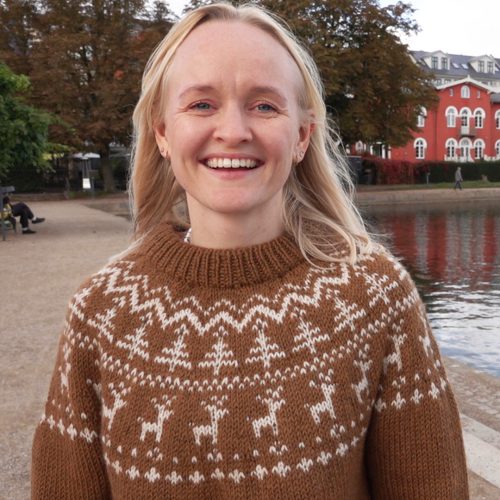 Sweater til voksne med juletræer og rensdyr - strikkeopskrift